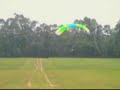 Newly Weds Flying Newly Weds Flying