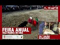 Feira Anual de Vila Franca de Xira – Tradição e Festa Brava