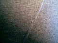 a lil sweeky wet fart