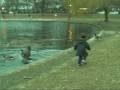 videos de SILLY GOOSE!
