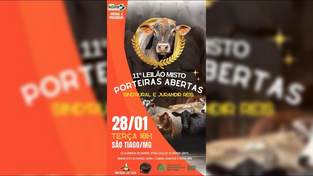 11º LEILÃO MISTO PORTEIRAS ABERTAS - SÃO TIAGO/MG -28/01/2025