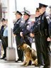 Burlington Cops have a Shooter