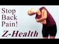 Stop Back Pain: Z Health Exercises for the Spine