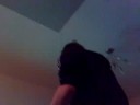 Pettit playing the Wii :)