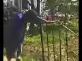 STILL FIGHTIN STILL FIGHTIN