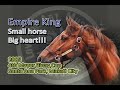 2005 4TH MAYOR BINAY CUP empire king on west bound