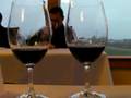 videos de NW Winecast for Nov. 11, 2008: Merlot smackdown