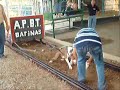 Club APBT Barinas