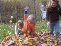 Playing in the Leaves