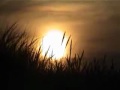 Grassland Sunset