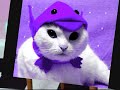 Funny Dogs & Cats