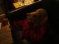 videos de Puff Humps A Red Blanket
