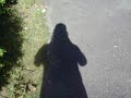 following my shadow following my shadow