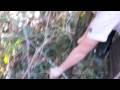 Field Study 008359