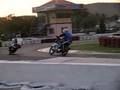 videos de team konde boomland parpar