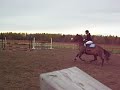 Amie KM i hoppning