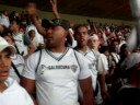 Galo Doido na Galoucura