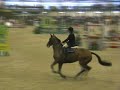 senior novice final 2006