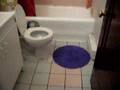 Summer 08 sublet (Sherbrooke + Atwater)