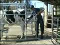 Wrangler Front Hoof