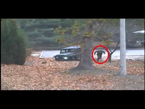 Korea: Bloß weg aus Nordkorea - UN veröffentlichen Vi ...
