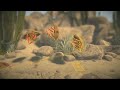 LittleBigPlanet Trailer