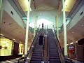 Escalator Madness!!