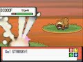 Starly Only Run: Route 204 (1)