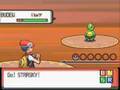 Starly Only Run: Route 204 (1)
