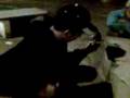 videos de maracaju ms