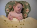 nom nom nanight