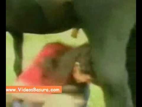 Imagen de previsualización de YouTube