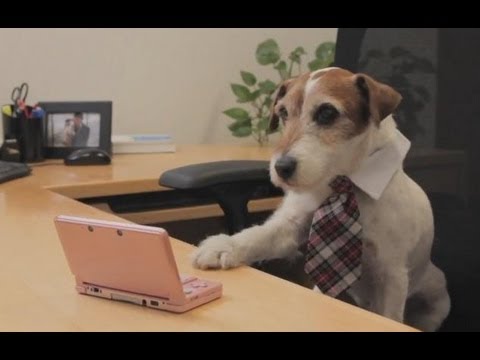 Image de prévisualisation YouTube