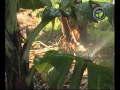 Water Requirement For Banana Plant Per Day In Litres