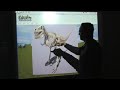 Edusim Dinosaur Land Lesson - 3D for your smartboard Edusim Dinosaur Land Lesson - 3D for your smartboard