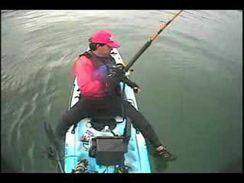 3 Thresher SHARKS TOTAL 240lbs caught on kayak by jceviche