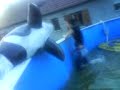 Anniv Charogne 18 ans