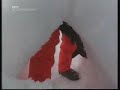 Country Tracks Episode 9 - Building snow holes in Scotland Country Tracks Episode 9 - Building snow holes in Scotland