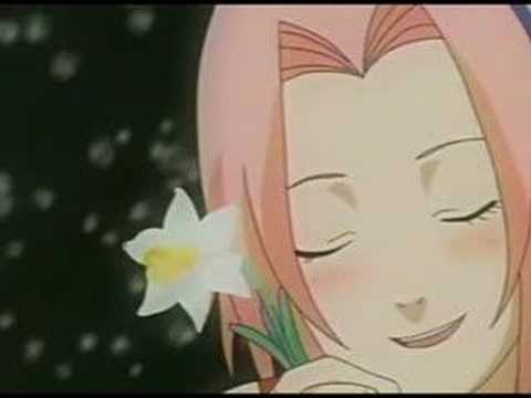 gaara sakura