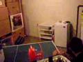 Paint stick
