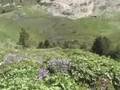 Grupo de Senderismo en Andorra