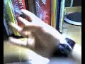 Pencil Twirling