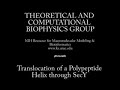 Translocation of a Polypeptide Helix through SecY