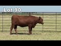 Lot 90 U81