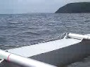 Towy Boat Club Sailing