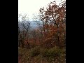 video1.mov Video video1.mov Video