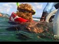 Snorkeling  Green Turtle Cay, Abacos Bahamas