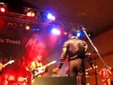 seun kuti