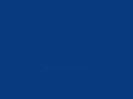 NOTICIA ETB2 Rebelión albiazul