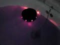トリビアの泉動画